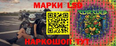 шишки Рыбинск