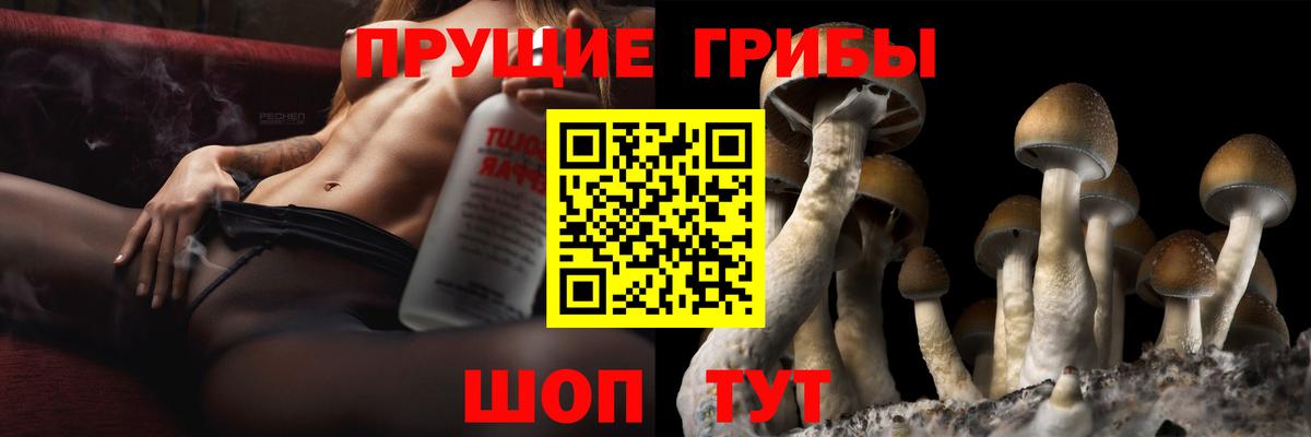 Печора  Галлюциногенные грибы Psilocybine cubensis  Галлюциногенные грибы Psilocybe  Вход с VPN 